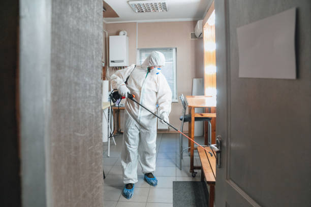 Best Forensic Mold Investigation  in Yermo, CA