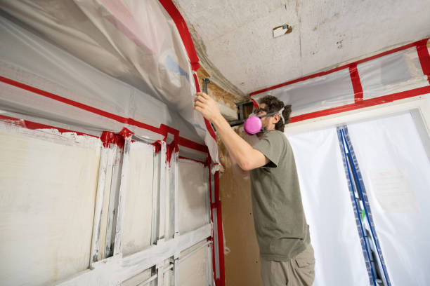 Best Real Estate Mold Inspection  in Yermo, CA