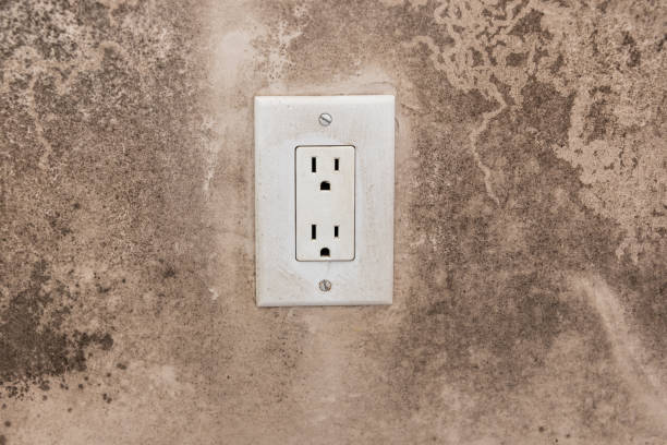 Asbestos and Lead Testing During Mold Inspection in Yermo, CA